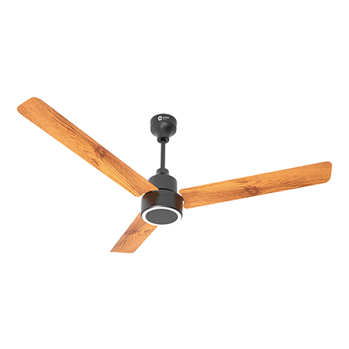 Ceiling Fans