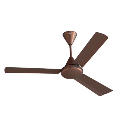 Ceiling Fans