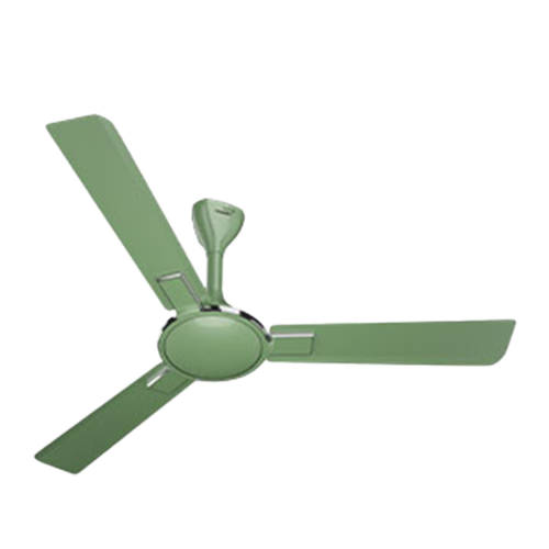 Ceiling Fans