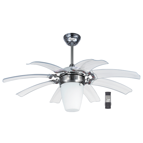 Ceiling Fans